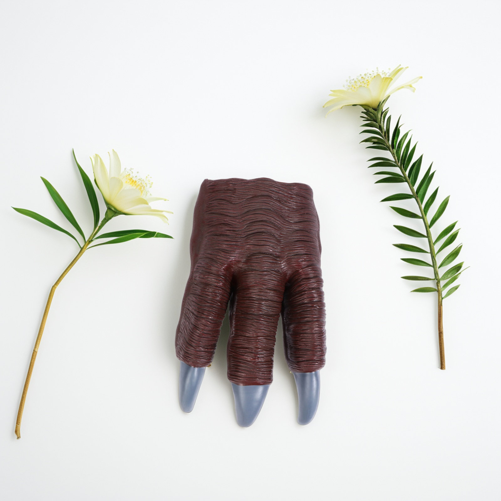 2Pcs Dinosaur Paw Claw Gloves  - Kids Toys Dinosaur review and price